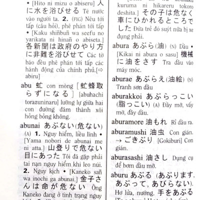 Từ Điển Nhật-Việt - Việt-Nhật (Tái Bản 2022)