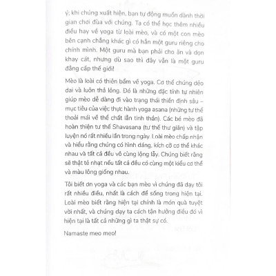 Yoga Cùng "Hoàng Thượng" - Yogi Cats