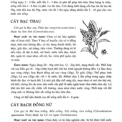 Cây Thuốc Nam - Những Bài Thuốc Quý Từ Dân Gian