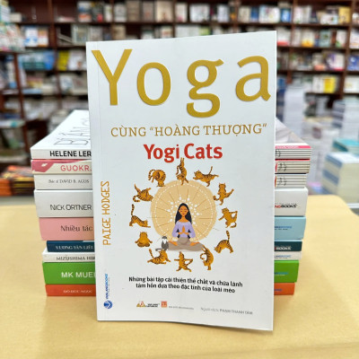 Yoga Cùng "Hoàng Thượng" - Yogi Cats
