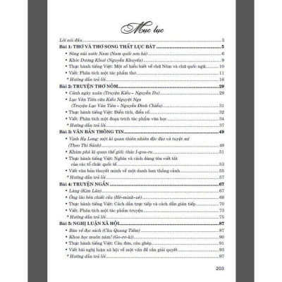 Sách - Phát Triển Kĩ Năng Đọc Hiểu Và Viết Văn Bản Theo Thể Loại - Ngữ Văn Lớp 9 - Bám Sát SGK Cánh Diều- Hồng Ân