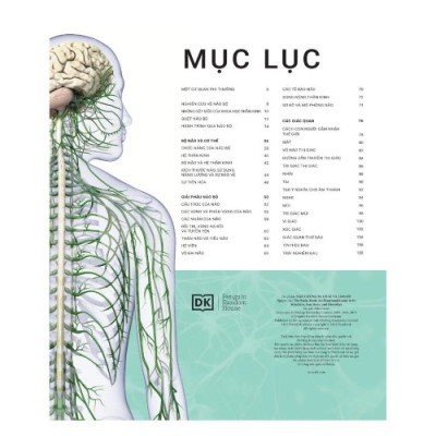 Não Chúng Ta Có Gì Và Làm Gì? (Sách Màu - Bìa Cứng)