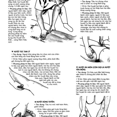 Bí Quyết Bấm Huyệt Chữa Bệnh - 	 Katsusuke Serizawa