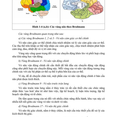 Sách - PHỤC HỒI CHỨC NĂNG CHẤN THƯƠNG NÃO