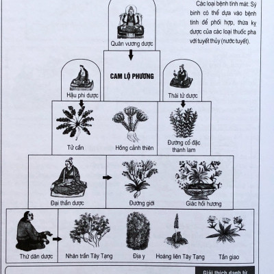 Tứ Bộ Y Điển - Y Lý Và Dưỡng Sinh (Tập 2)