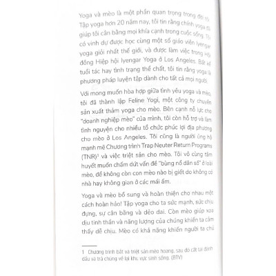 Yoga Cùng "Hoàng Thượng" - Yogi Cats