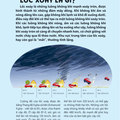 Khám Phá Và Thực Hành Steam Qua Tác Phẩm Kinh Điển - Phù Thủy Xứ Oz_DTI 