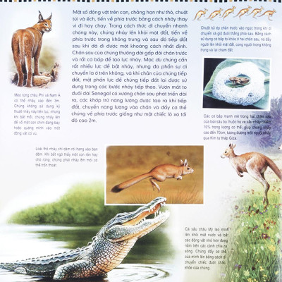 Di Chuyển Và Di Cư