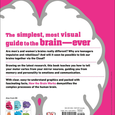 How The Brain Works: The Facts Visually Explained (How Things Work)