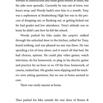 Theodore Boone: The Accomplice