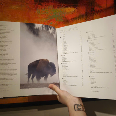 Sách - Wildlife Photography by Richard Bernabe - From First Principles To Professional Results