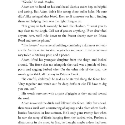 Outsider: A Novel Of Suspense