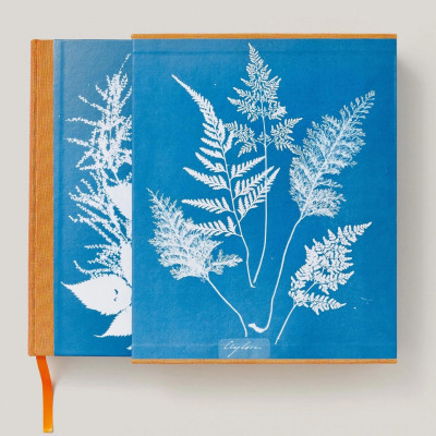 Artbook - Sách Tiếng Anh - Anna Atkins: Cyanotypes