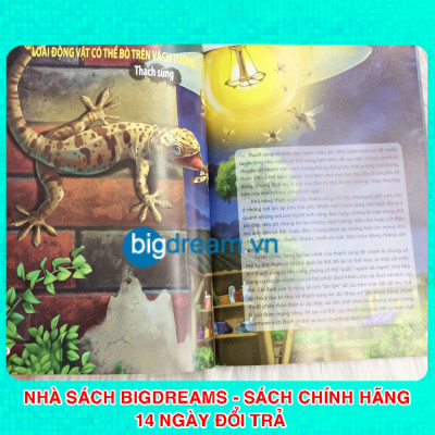 Khám Phá Thế Giới Động Vật Kì Thú - Thế giới của các loài vật kì quái - Kiến thức bách khoa cho trẻ