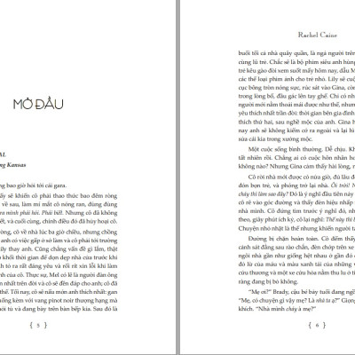 Combo 3 cuốn Truyện Trinh Thám Stillhouse - Ác Mộng Ven Hồ + Con Lạch Chết Chóc + Dòng Sông Hắc Ám