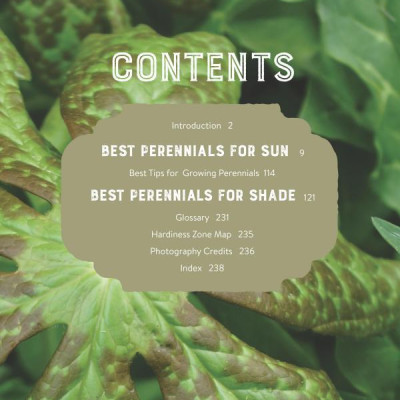 Best Perennials for Sun and Shade (Home Grown Gardening)