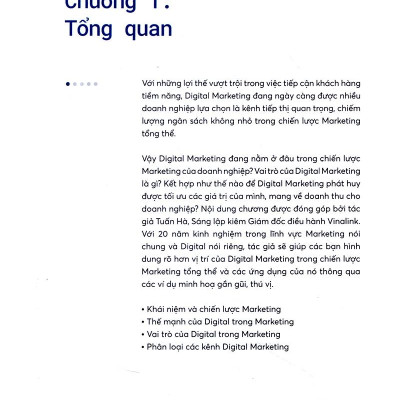 Digital Marketing - Từ Chiến Lược Đến Thực Thi (Tái Bản 2019)