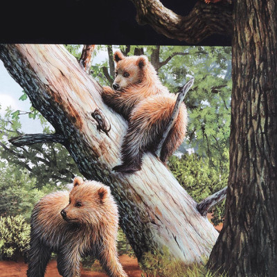 Di Chuyển Và Di Cư