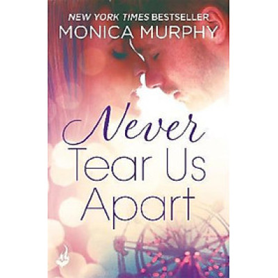 Never Tear Us Apart: Never Series 1