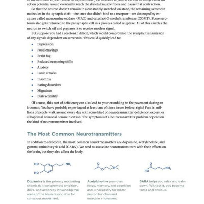 Boundless: Upgrade Your Brain, Optimize Your Body & Defy Aging