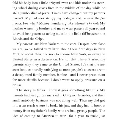 The Undocumented Americans