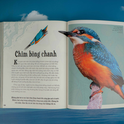 Sách - Bách khoa thư kỳ thú về Vũ trụ - Đinh Tị Books