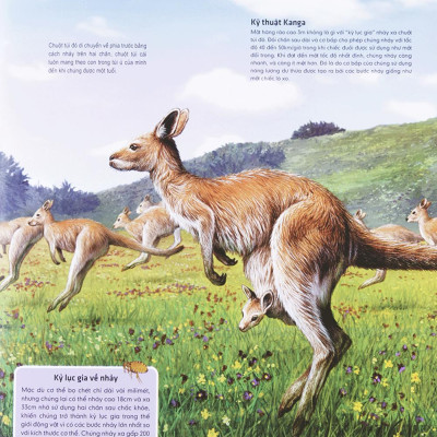 Di Chuyển Và Di Cư