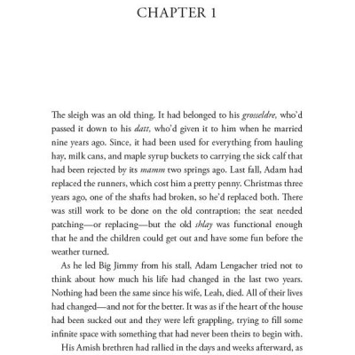 Outsider: A Novel Of Suspense