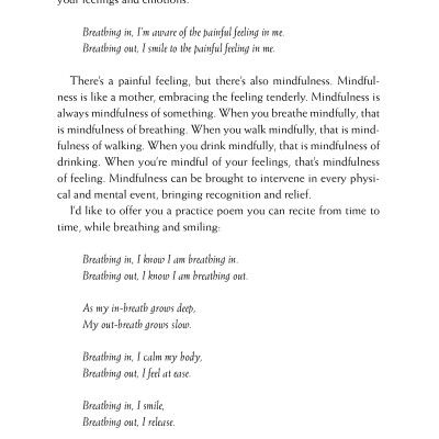 Happiness - Essential Mindfulness Practices