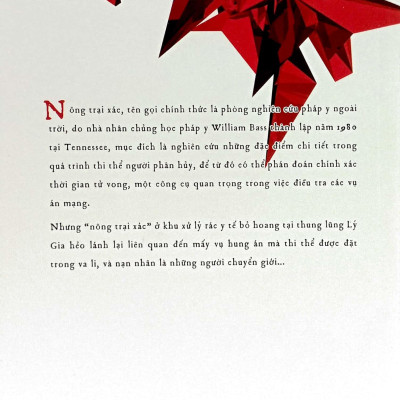 Nữ Pháp Y - Tập 4