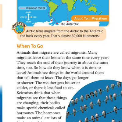 Oxford Read and Discover 5 Great Migrations