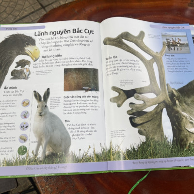 [BÁCH KHOA CHO TRẺ EM] – BÁCH KHOA TỰ NHIÊN – MỞ MANG KIẾN THỨC KHƠI DẬY TIỀM NĂNG– tủ sách DK – Đông A – Bìa Cứng in màu toàn bộ