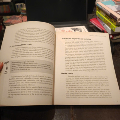 Sách - The Everything Wine Book: A Complete Guide to the World of Wine by David White