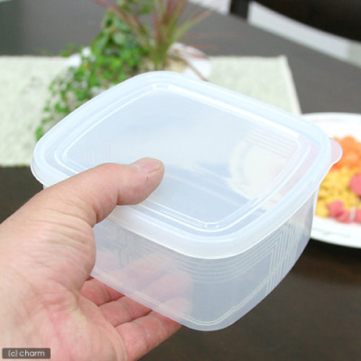 Hộp nhựa cao cấp bảo quản thực phẩm hình vuông 900ml - Hàng nội địa Nhật