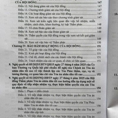 Sách Luật Tổ Chức Tòa Án Nhân Dân, Viện Kiểm Sát Nhân Dân sửa đổi, bổ sung năm 2025 (V2612T)