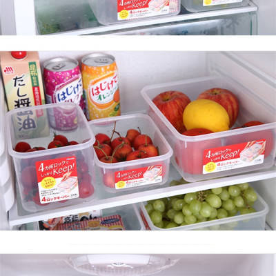 Combo 2 hộp nhựa trong đựng thực phẩm (cỡ nhỏ) - Hàng nội địa Nhật Bản