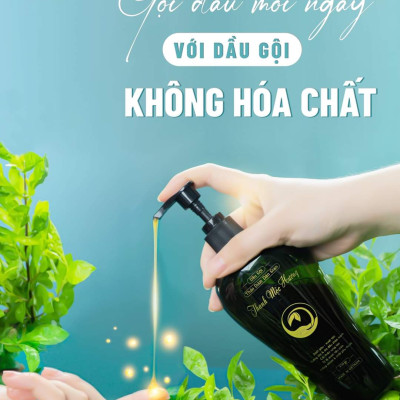 Dầu gội thảo dược Thanh Mộc Hương sạch gàu ngăn rụng tóc kích thích mọc tóc 350ml