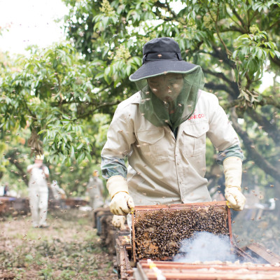 Mật ong Tam Đảo đặc biệt 500g - Mật ong rừng tự nhiên