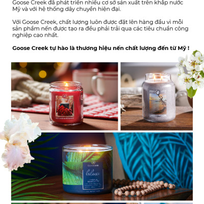 Nến ly 3 bấc sáp đậu nành Goose Creek (411g) - Tropical Daydream