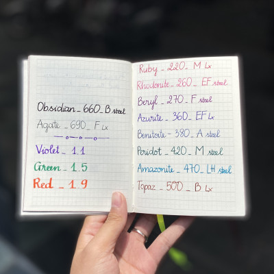 Bút Máy Lamy LX RU 057