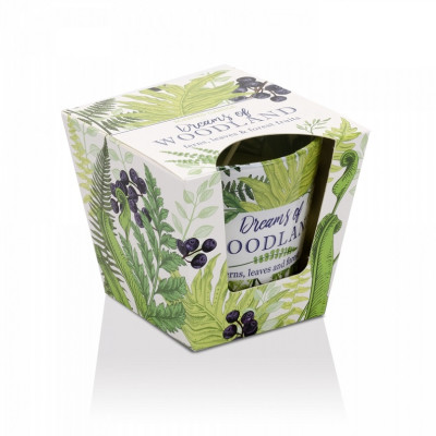 Ly nến thơm Bartek Candles BAT5222 Dream of Woodland 115g (Hương cây dương sỉ)