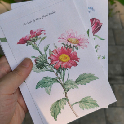 BỘ 100 POSTCARD PETALA & FOLIA - Minh Họa Thực Vật Nghệ Thuật - Giấy Mỹ Thuật 300g Cao Cấp - Nho Xanh 