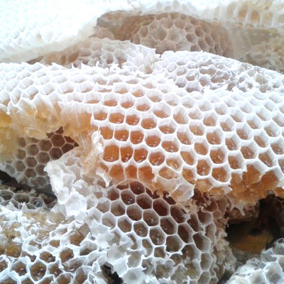 Mật Ong Hoa Nhãn Xuất Khẩu 1000ml, tiêu chuẩn chất lượng cao.