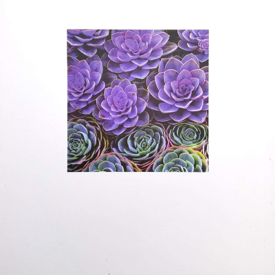 Dưỡng Sinh (2022)