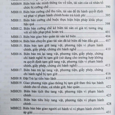 Luật Xử Lý Vi Phạm Hành Chính (sửa đổi, bổ sung năm 2025) các văn bản quy định chi tiết và biện pháp thi hành