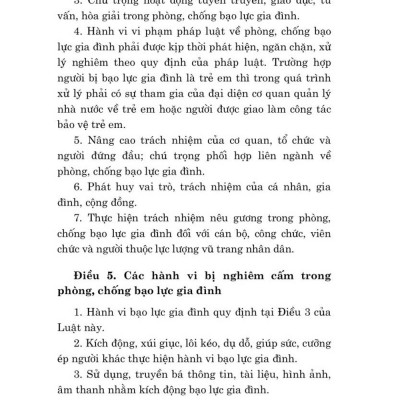 Luật phòng, chống bạo lực gia đình năm 2022 - bản in 2024