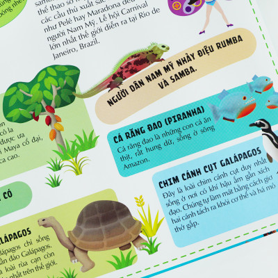 Khám phá các châu lục và đại dương qua bảy tấm bản đồ mở rộng - Đinh Tị Books