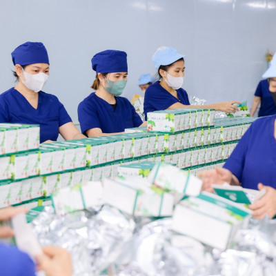 Giá Sỉ 10 Hộp Trà Lá Ổi Mychi Giam Cân Tan Mỡ Ngừa mỡ máu tiểu đường