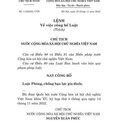 Luật phòng, chống bạo lực gia đình năm 2022 - bản in 2024