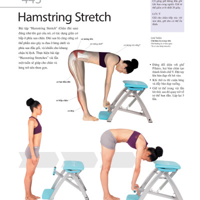 501 Bài Tập Giảm Cân Và Giữ Dáng